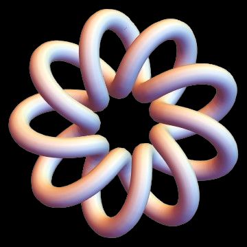 A torus knot.