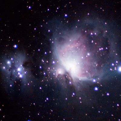 The Orion Nebula (M42), with its pink and blue emission structure.